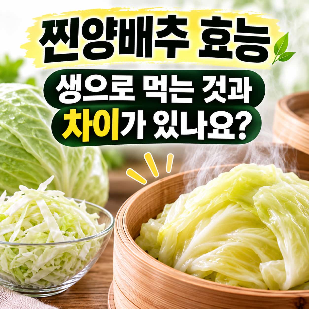 찐양배추 효능 5가지와 생양배추 차이